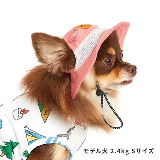 （分類：）位於 。 由 tsang531 提交（商品編號 1242435813，圖片 1）。簡介： 。