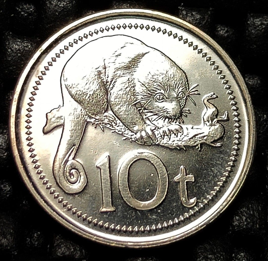 Papua New Guinea Coin 2006 10t UNC(2), Hobbies & Toys, Memorabilia ...