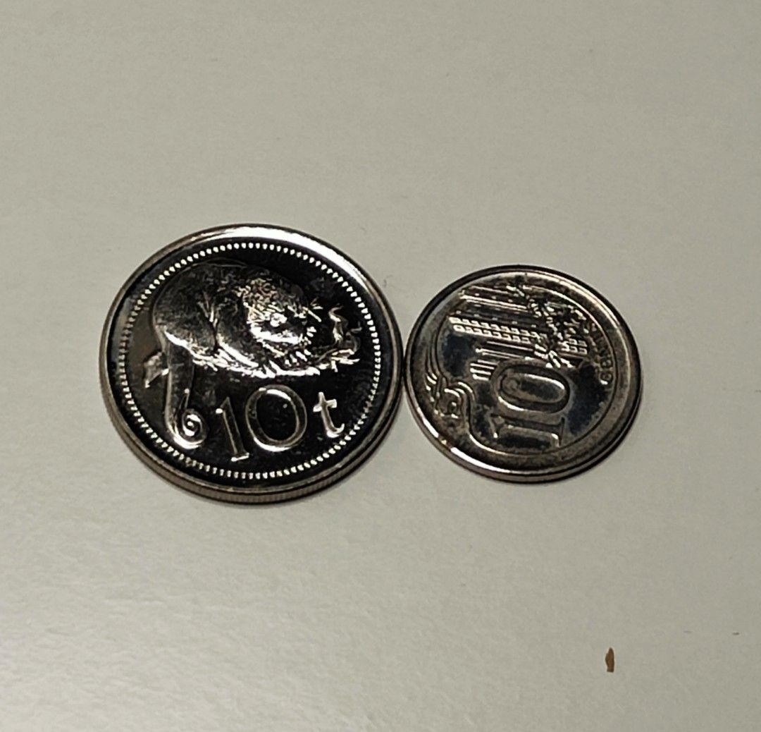 Papua New Guinea Coin 2006 10t UNC(2), Hobbies & Toys, Memorabilia ...
