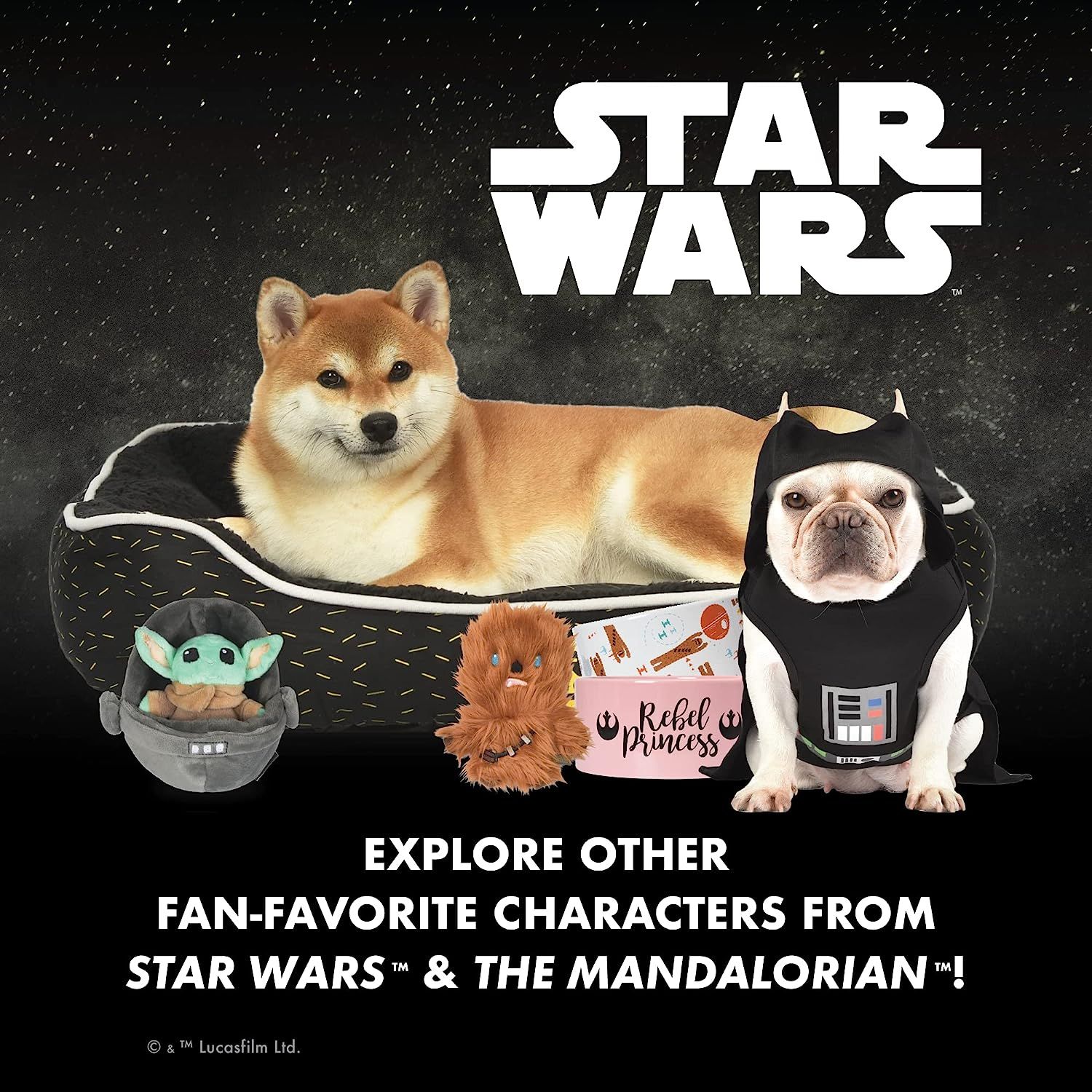 Elevated dog online bed chewy