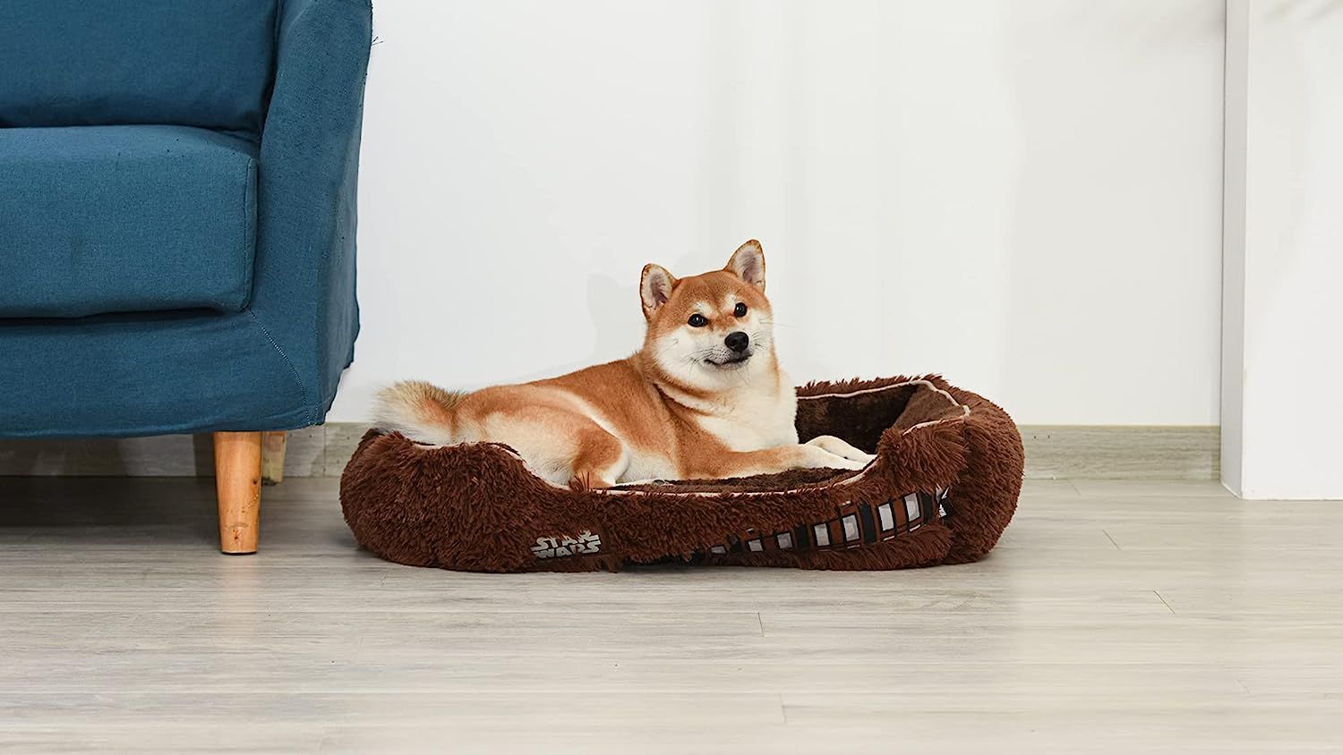 Elevated dog 2025 bed chewy