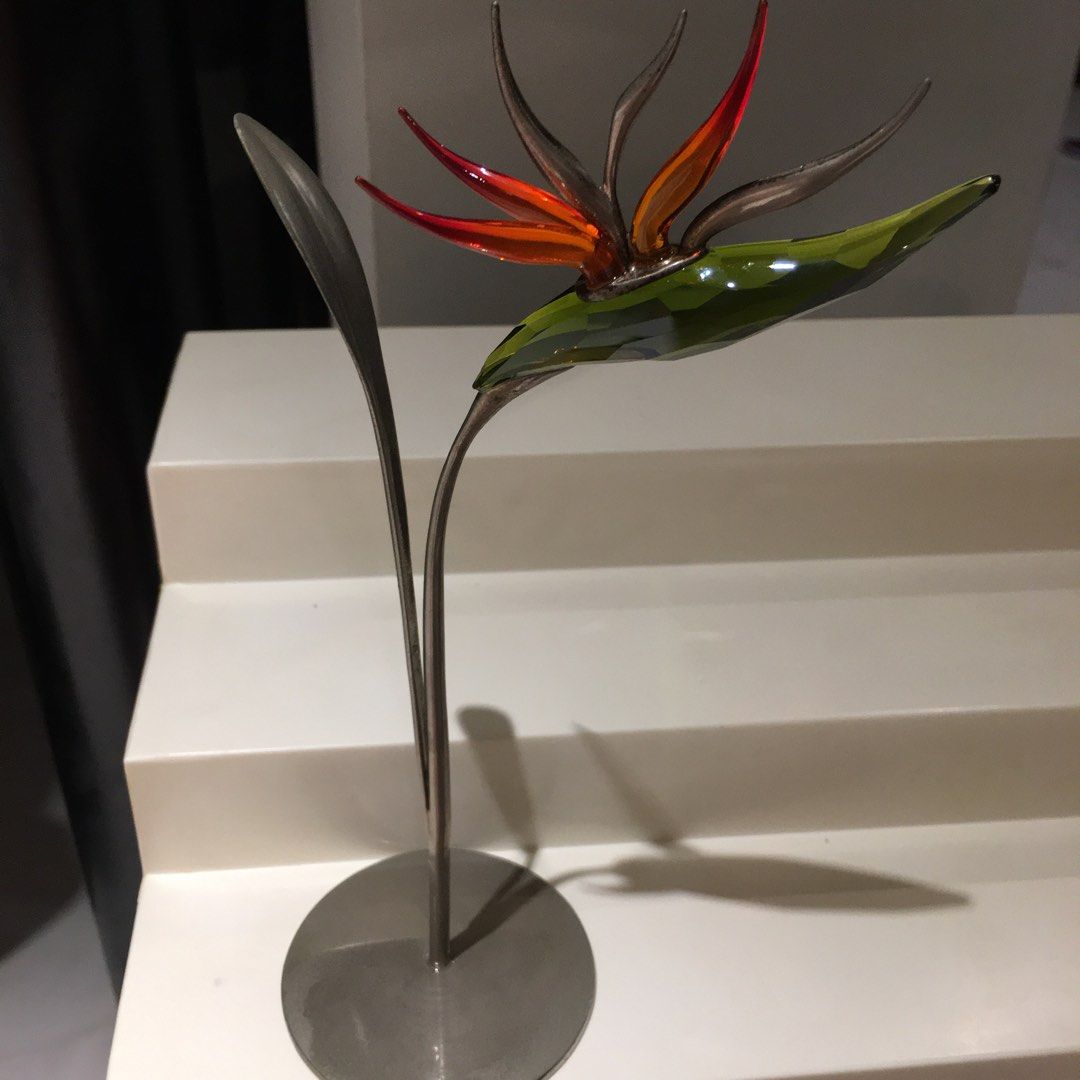 Swarovski Dalmally, Tropic Sun Swarovski スワロフスキー Dalmally