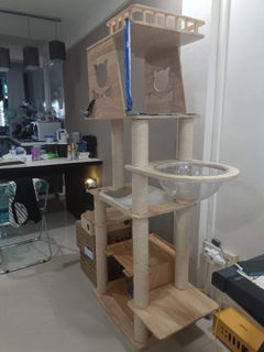 (Category: ) located in . Submitted by ChubbyFamily (Listing ID 1242396300, Image 1). Description: .