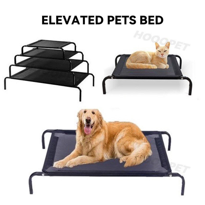 Elevated pet online bed xl