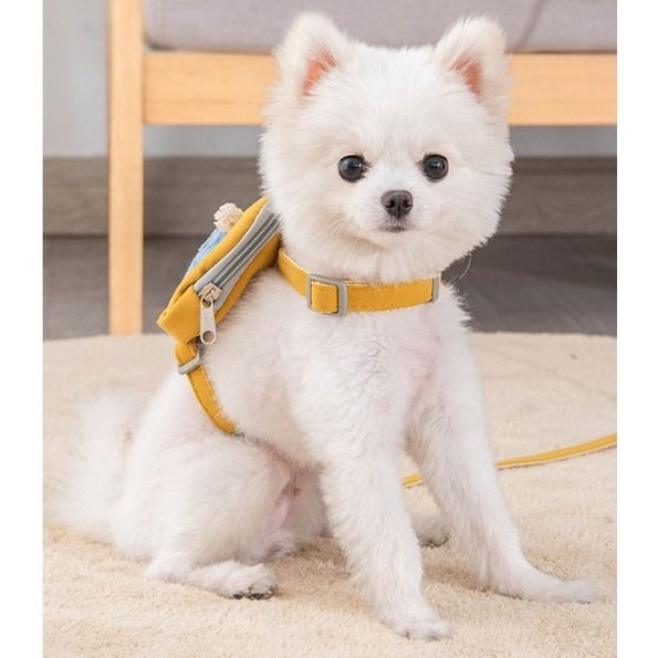 Pet Cute Dog Cat Harness With Backpack Medium Small Dog 49 OFF