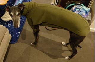 5XL High Collar Pet Clothes for Medium Large big Dogs Winter Warm Coat Greyhound