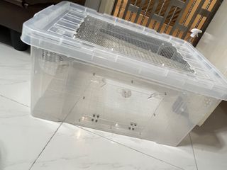 （分類：）位於 。 由 yps_ccccc 提交（商品編號 1242641655，圖片 1）。簡介： 。
