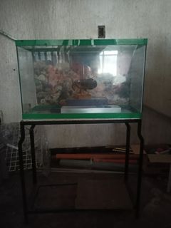 Aquarium with stand