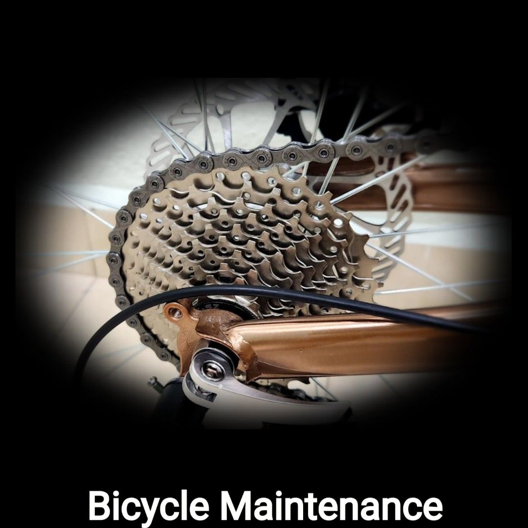 Hybrid bike maintenance online