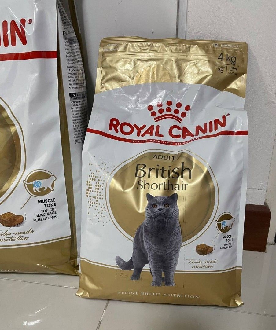 Royal canin 10kg british hot sale shorthair