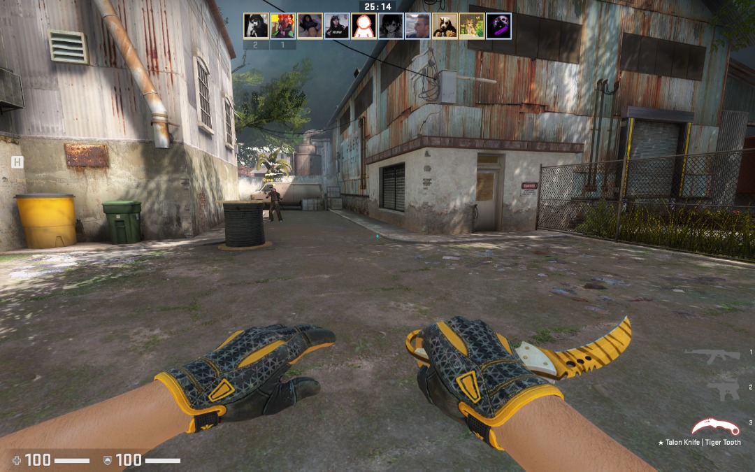 CSGO Talon Tiger Tooth and Sports Glove Omega combo, Video Gaming