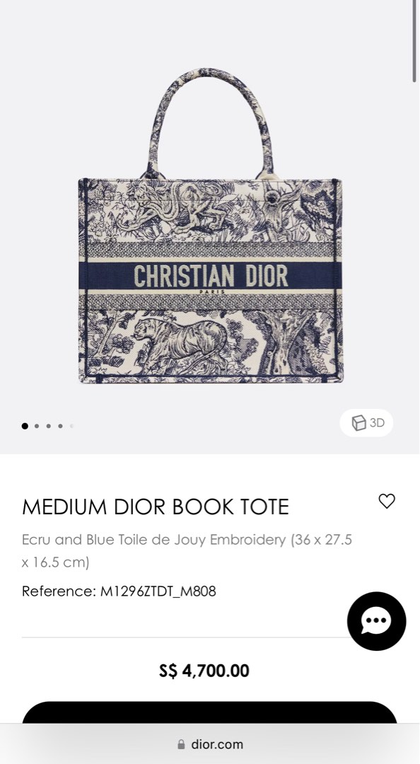 Dior Book Tote Ecru and Blue Dior Oblique Embroidery Bag, Luxury, Bags &  Wallets on Carousell