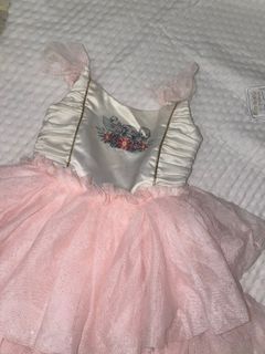 Disney Dress , Pink Tutu