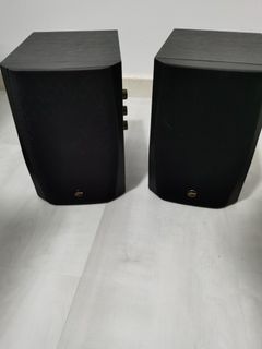 (Faulty) Hivi Swan D1010-IV Speaker