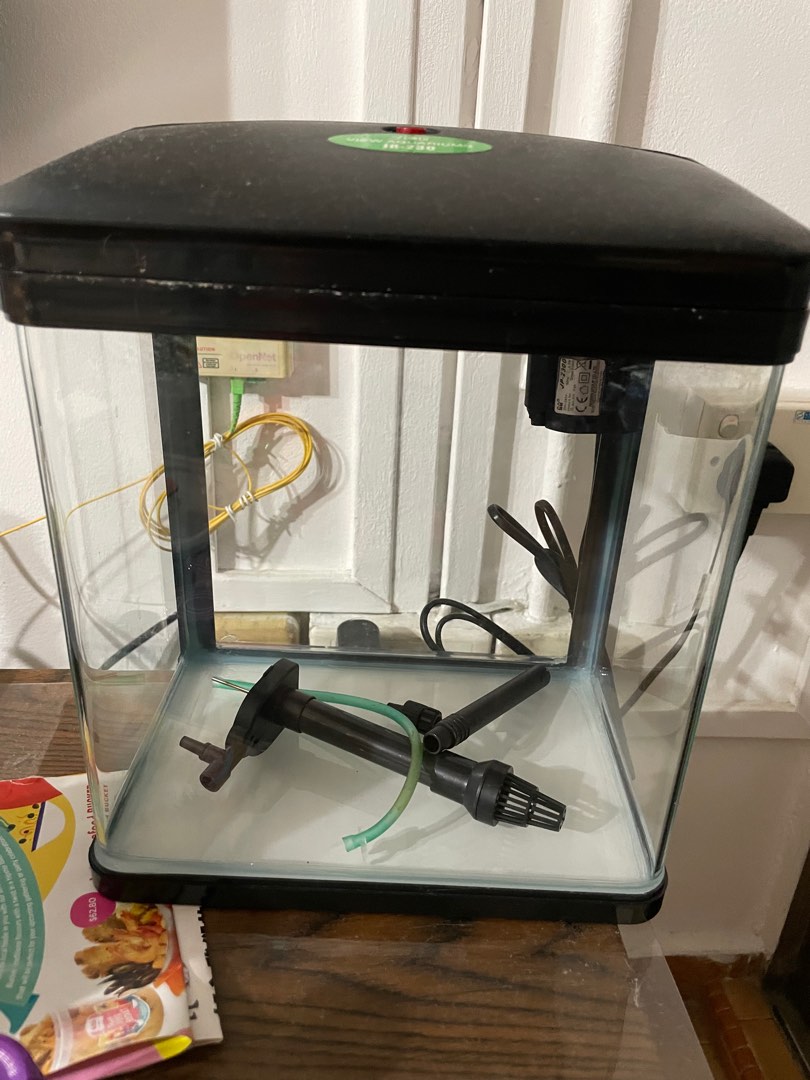 Fish Tank Set, Pet Supplies, Homes & Other Pet Accessories on Carousell