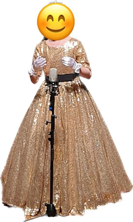 Gold glitter hotsell belt for dress