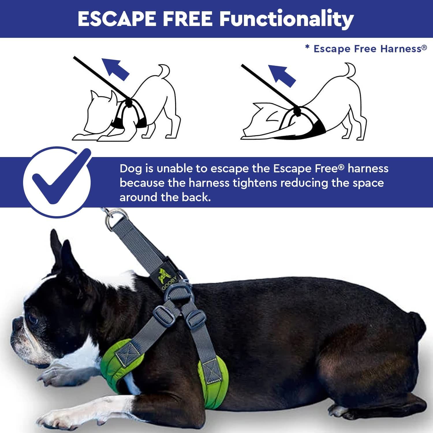 Gooby escape free easy fit cheap harness