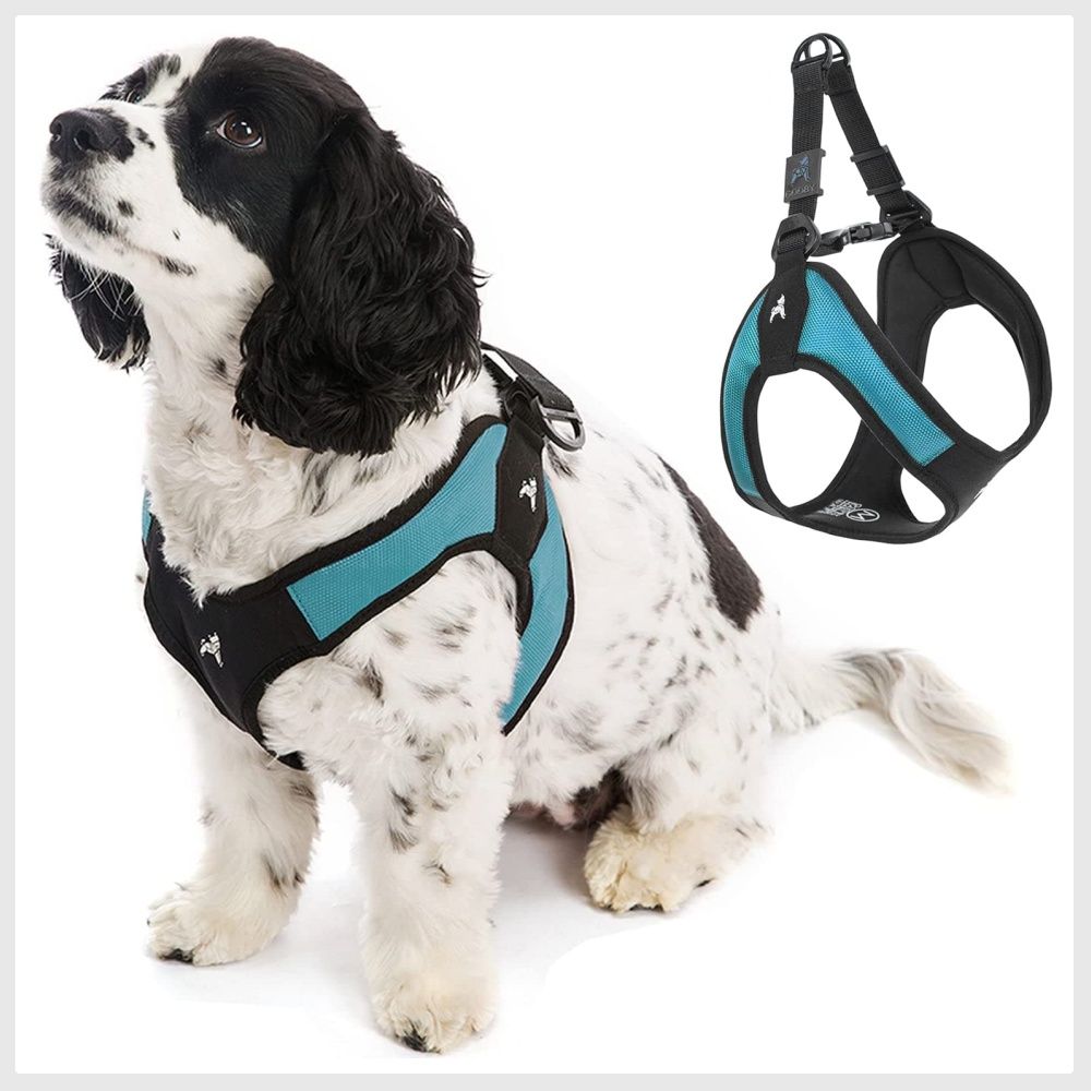 No pull harness for small dogs online