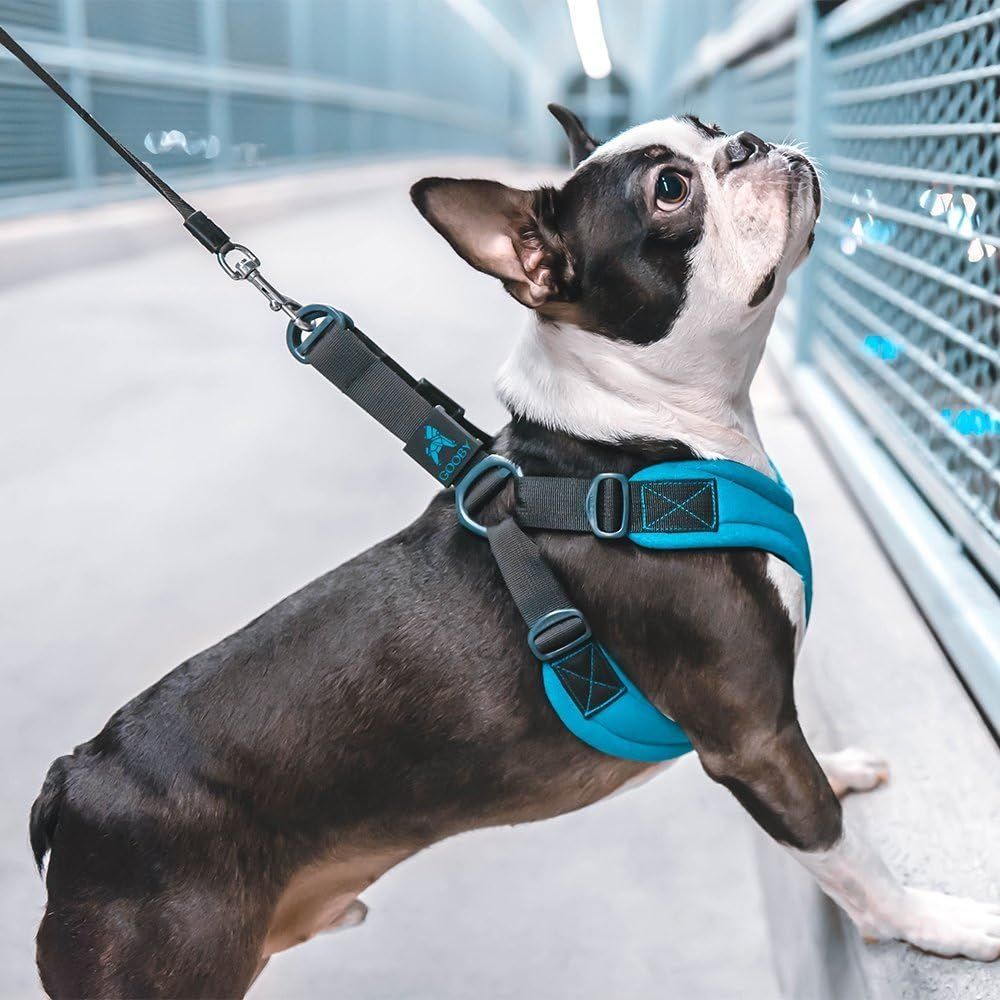 Gooby no top escape harness