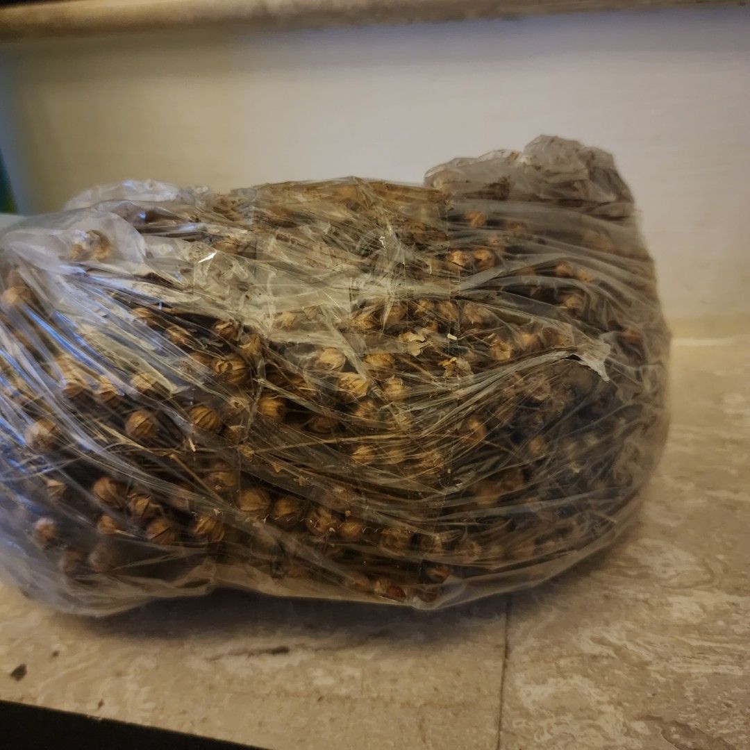 Hamster flax seeds/spray seeds, Pet Supplies, Pet Food on Carousell