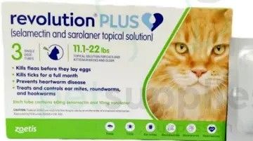 New revolution for hotsell cats