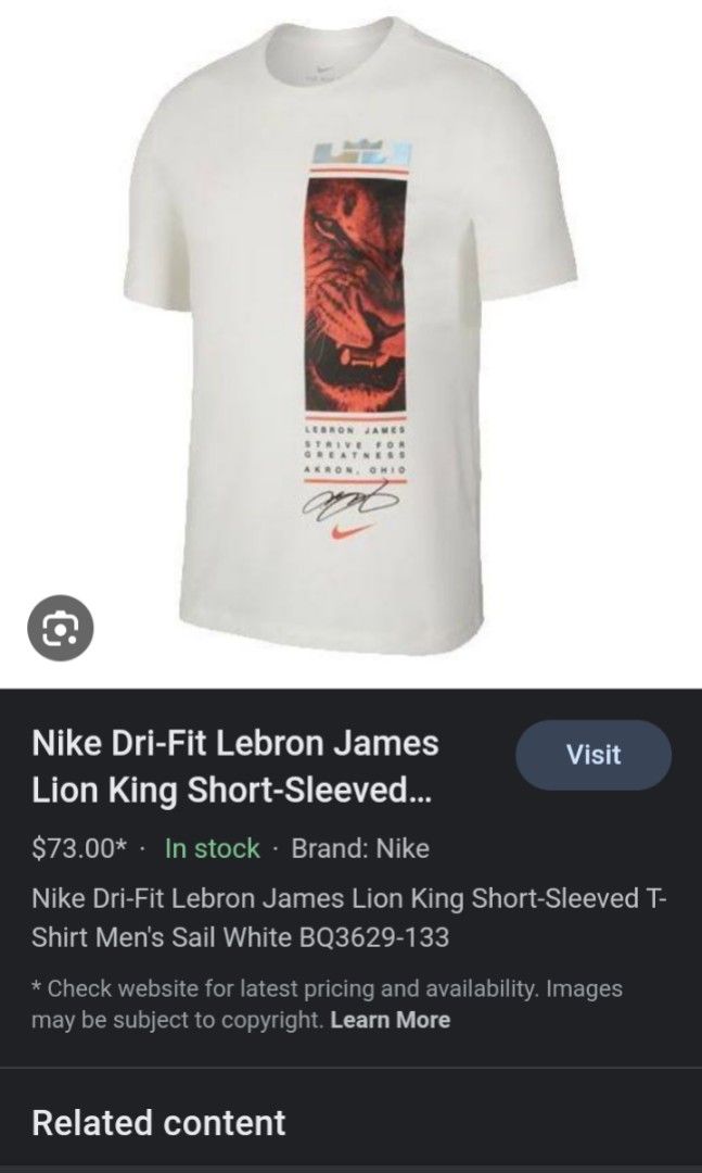 Nike Dri-Fit Youth Lebron James Lion Strive for Greatness T-Shirt