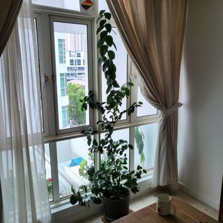 (Category: ) located in . Submitted by cherrywz (Listing ID 1242583139, Image 1). Description: .