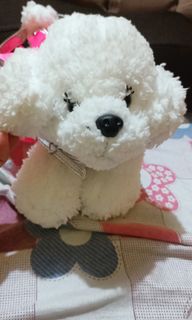 (Category: ) located in . Submitted by krt0912 (Listing ID 1242676045, Image 1). Description: .