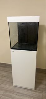 （分類：）位於 。 由 capoobdo 提交（商品編號 1242591192，圖片 1）。簡介： 。