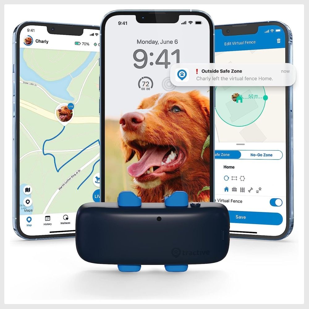 Electronic dog tracker clearance