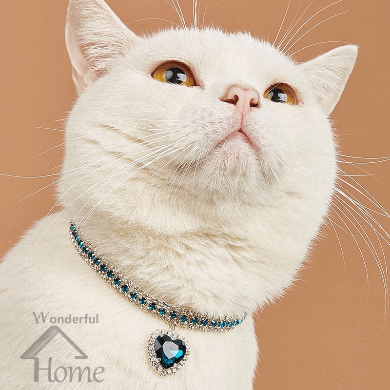 Cat collar online that beeps