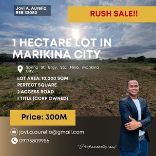 1 Hectare Vacant Lot for Sale in Marikina
