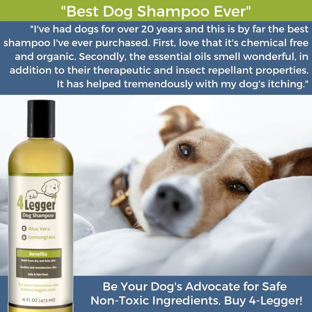 4Legger Lemongrass and Aloe Hypoallergenic Organic Food Standard Shampoo 16oz Dry Dandruff Shampoo for Dogs and Cats