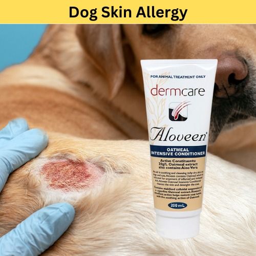 Aloveen Oatmeal Intensive Conditioner 100ml Pet Supplies Health