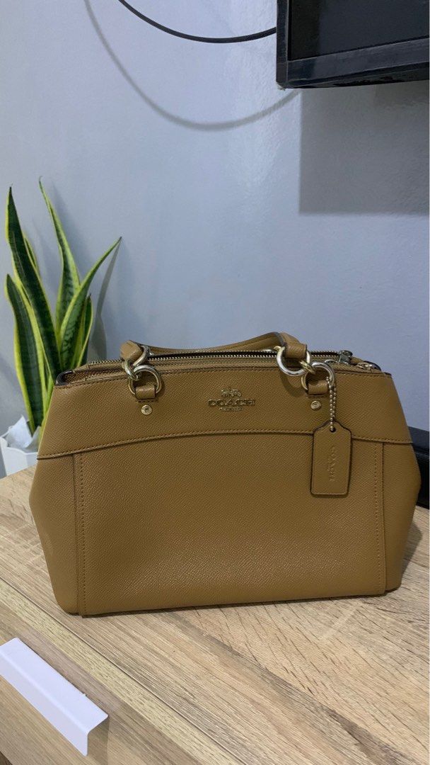 Coach mini brooke carryall online