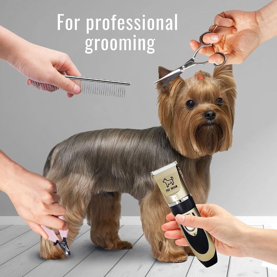 Pet grooming equipment for sale clearance