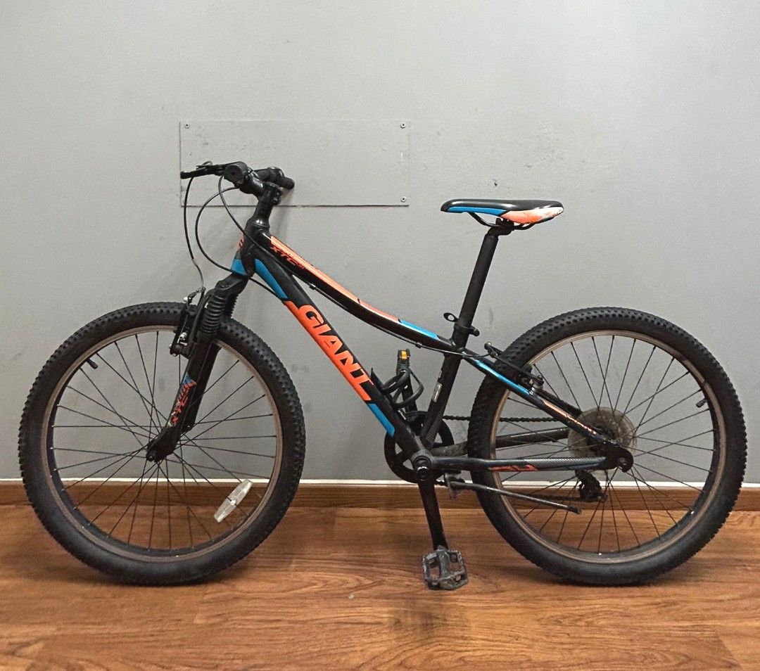 Giant ATX 24