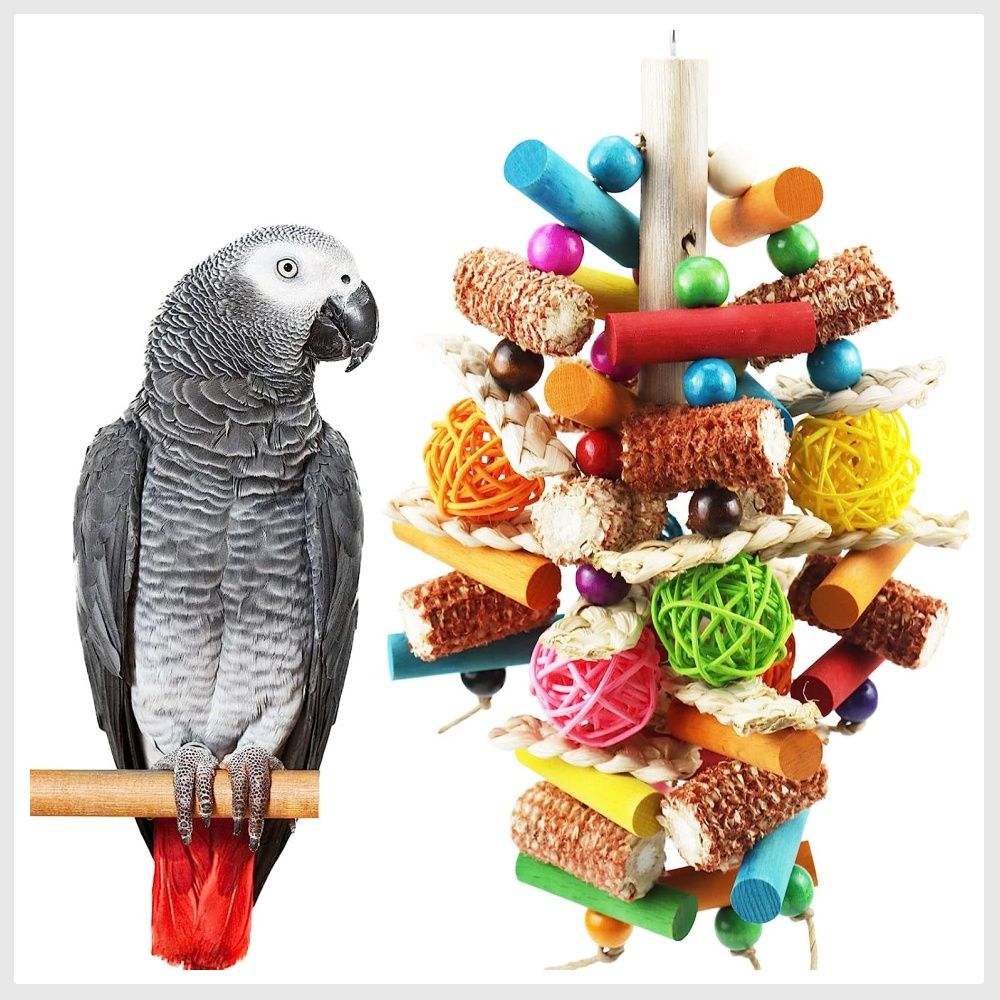 Kewkont Bird Toys Parrot Toys for Large Birds Natural Peppered Wood African Grey Parrots Macaws Cockatoos Parrot chew Toys Aviary Hanging Toys Pet Supplies Homes Other Pet Accessories on Carousell