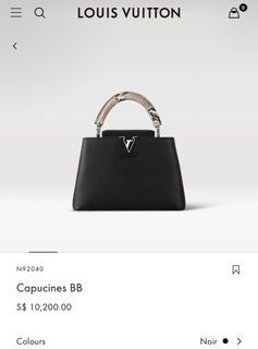 Louis Vuitton Capucine BB Shanghai Skyline Bag — UFO No More
