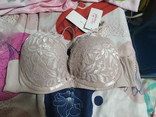(Category: ) located in . Submitted by calibear22 (Listing ID 1242719339, Image 1). Description: .