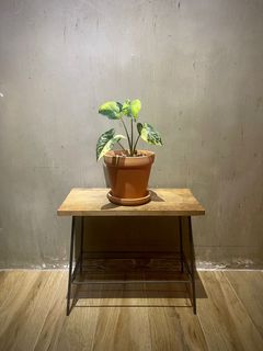 （分類：）位於 。 由 siu.wooo 提交（商品編號 1242858513，圖片 1）。簡介： 。