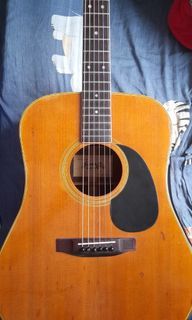 Tokai Hummingbird Custom acoustic guitar