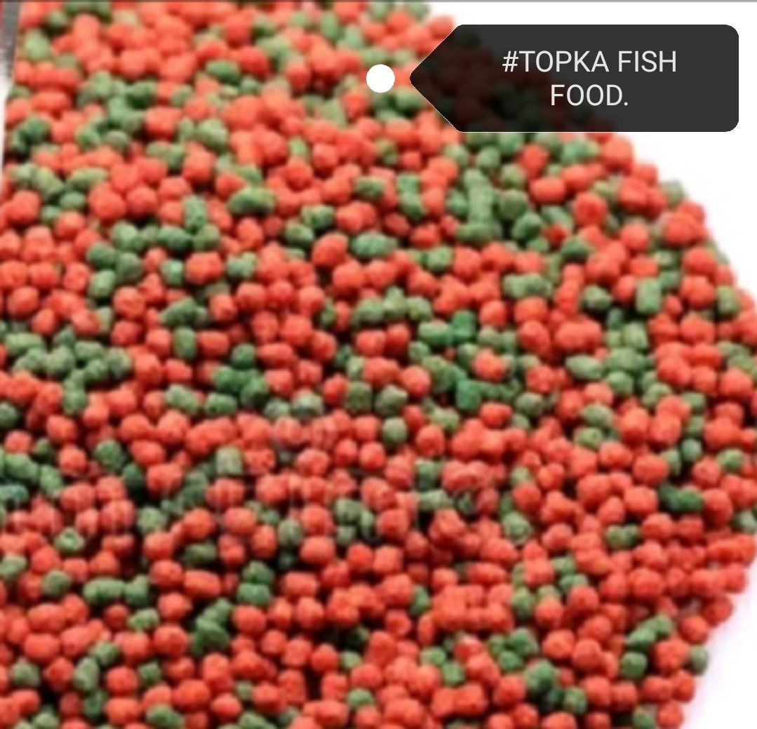 Topka Floating Tropical Fish Food Feed Makanan Ikan 1kg, Pet Supplies ...