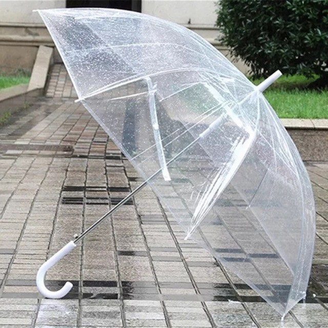 50 Transparent Daiso Umbrellas for Weddings or Photoshoots, Hobbies