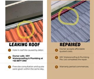 Affordable Roof Leaking Repairs 💰🏠💧
