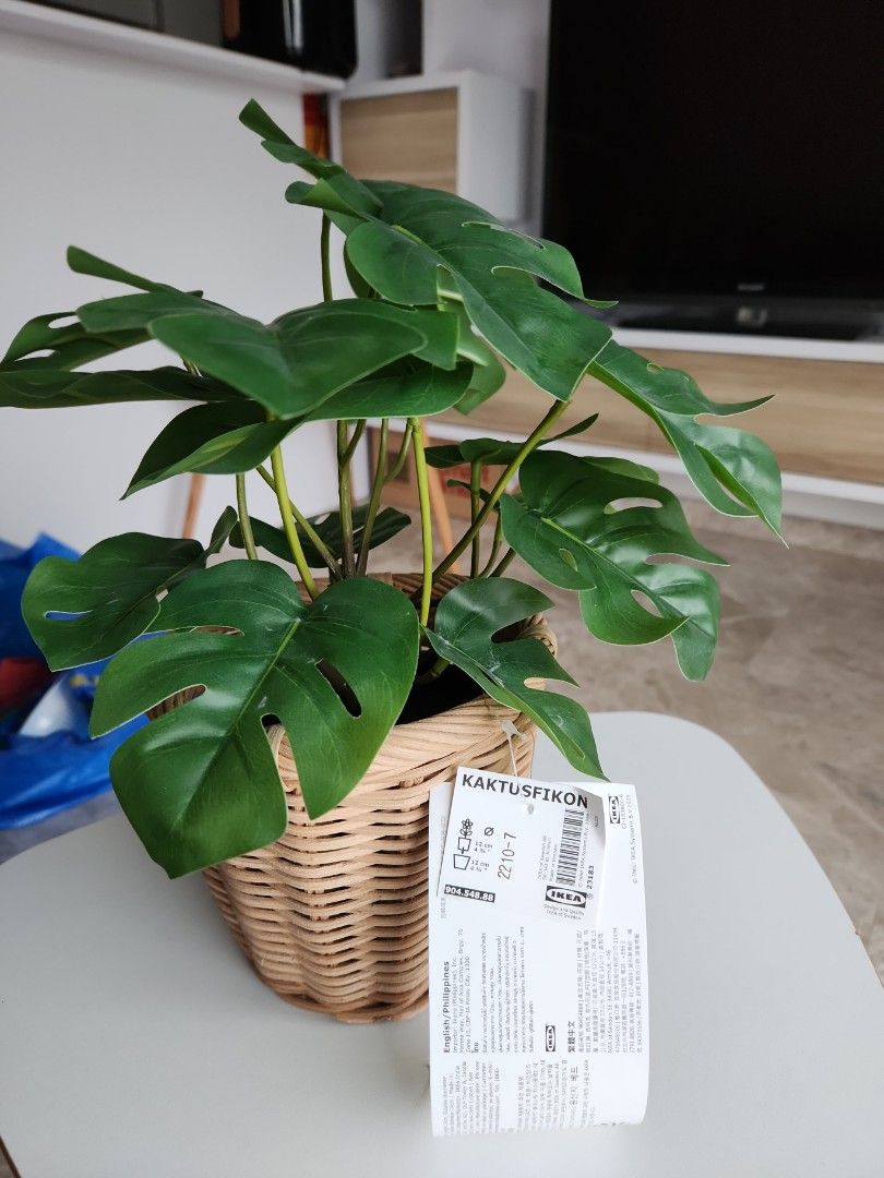 Artificial Ikea Plant with Cane Basket (Original price 30), Furniture