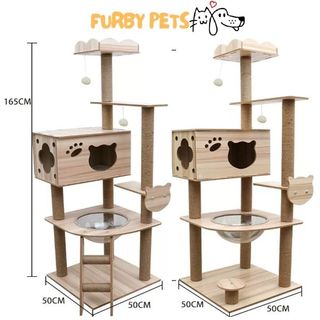 (Category: ) located in . Submitted by furbypets77 (Listing ID 1242820574, Image 1). Description: .