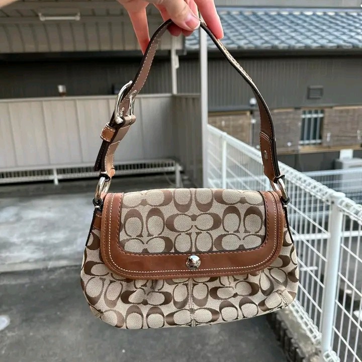 Coach Brown Baguette Bag on Carousell
