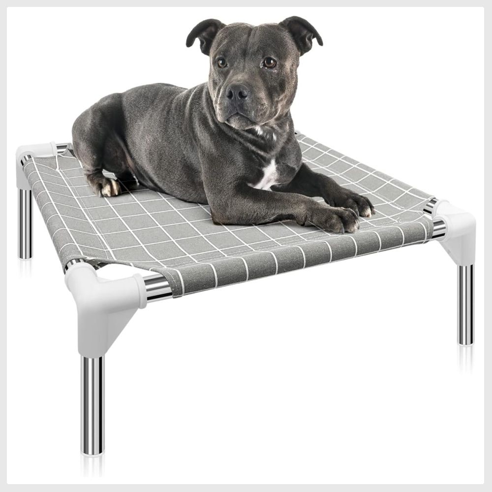 Elevated cot sale dog bed