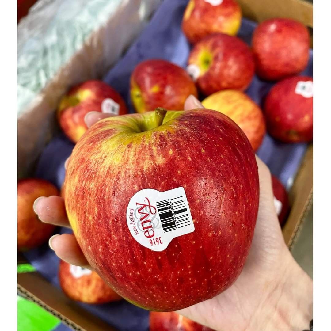 Envy Apples (Premium & Fresh), Food & Drinks, Fresh Produce on Carousell